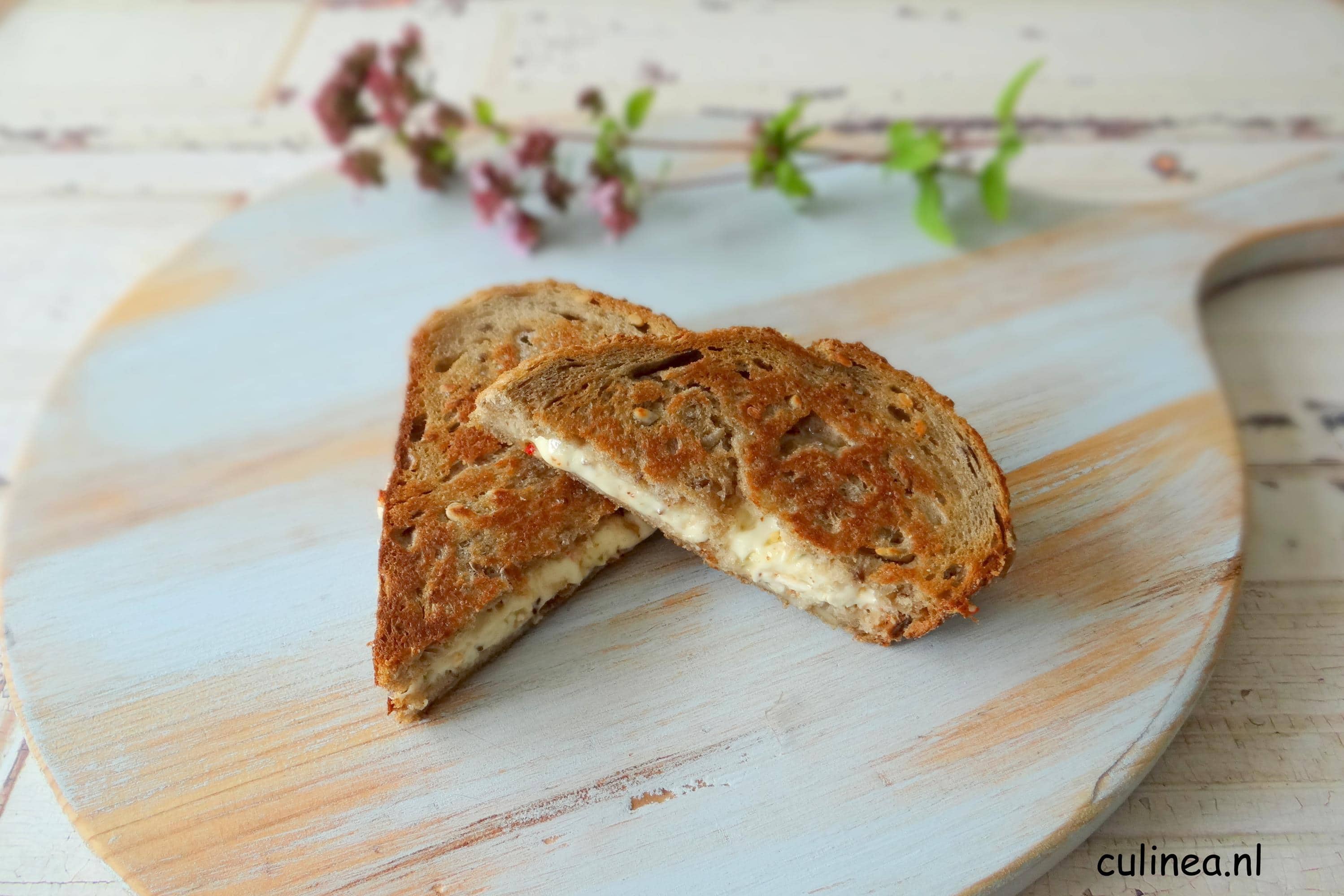 Tosti Primosale Italiano