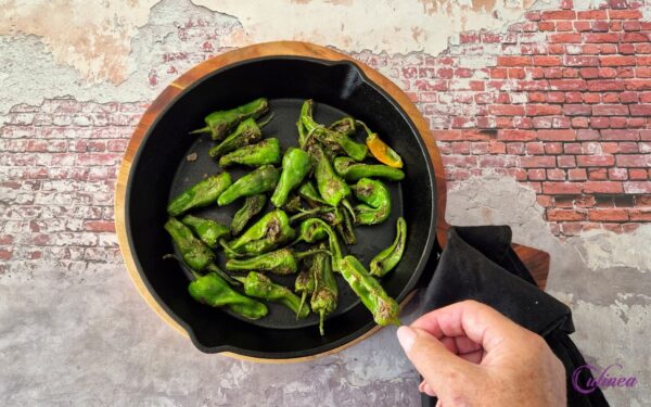 Pimientos de Padrón