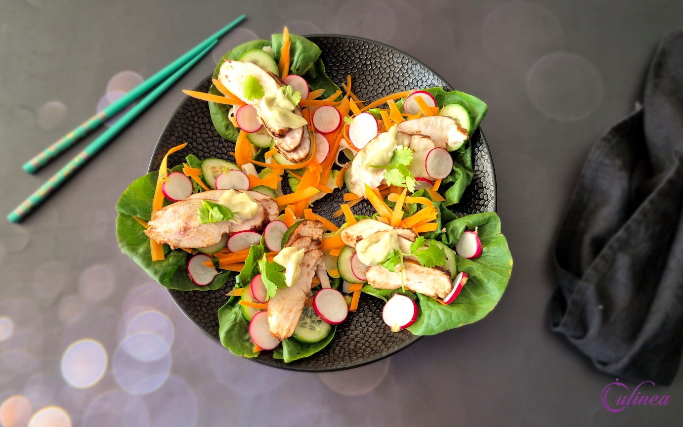 Slawraps met kip, wasabi en noedels