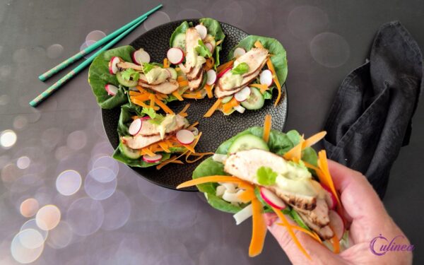 Slawraps met kip, wasabi en noedels