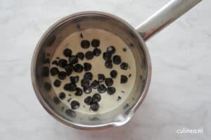Dropijs