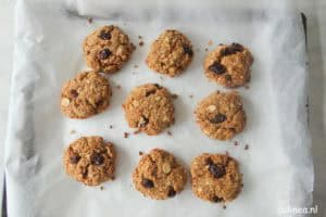 Havermoutkoekjes met cranberries en kaneel