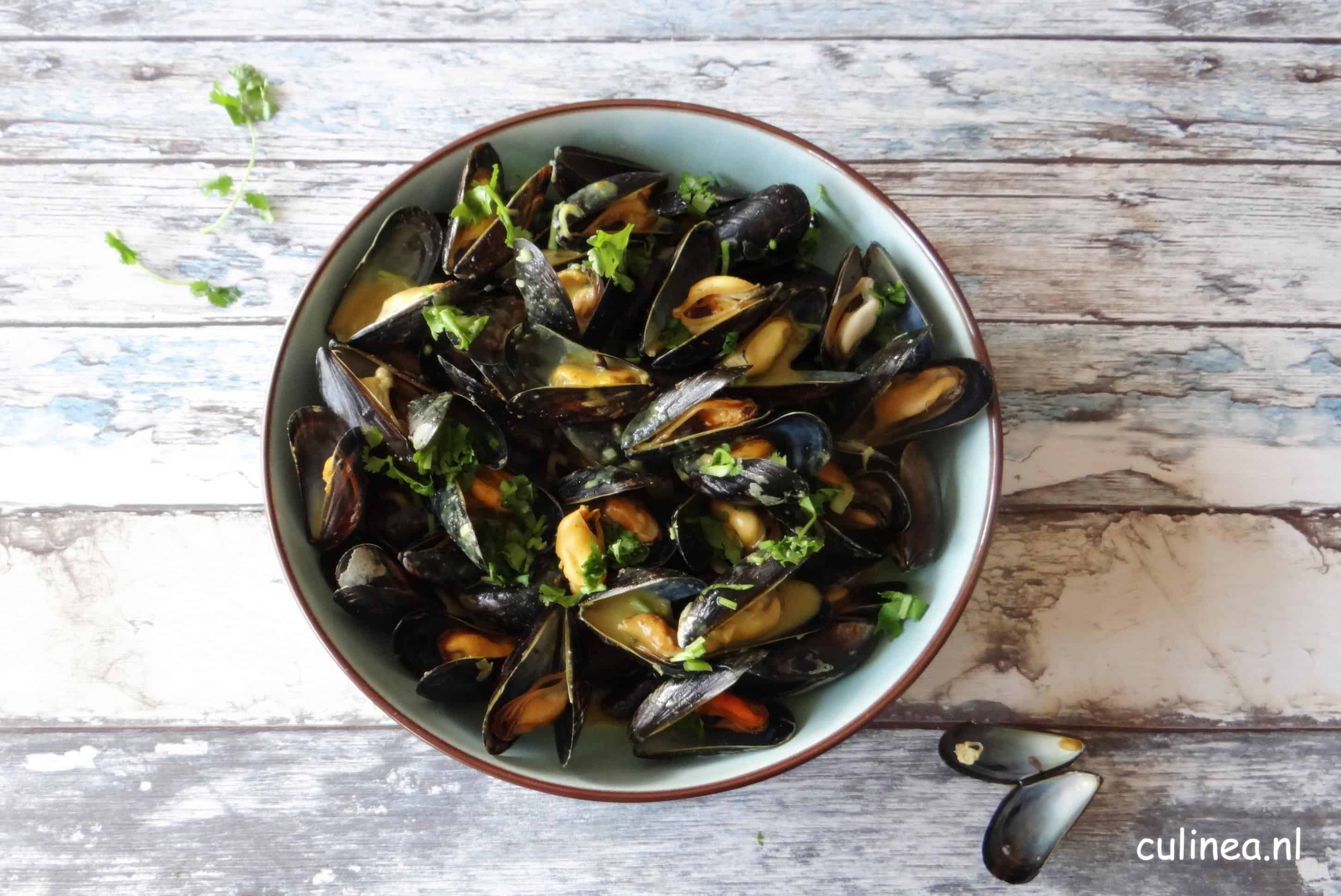 Mosselen in gele curry kokossaus