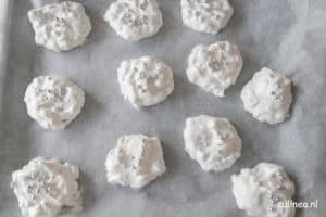 Schuimkoekjes met cranberries en pecannoten