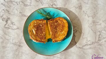 Heel veel lekkere tosti recepten