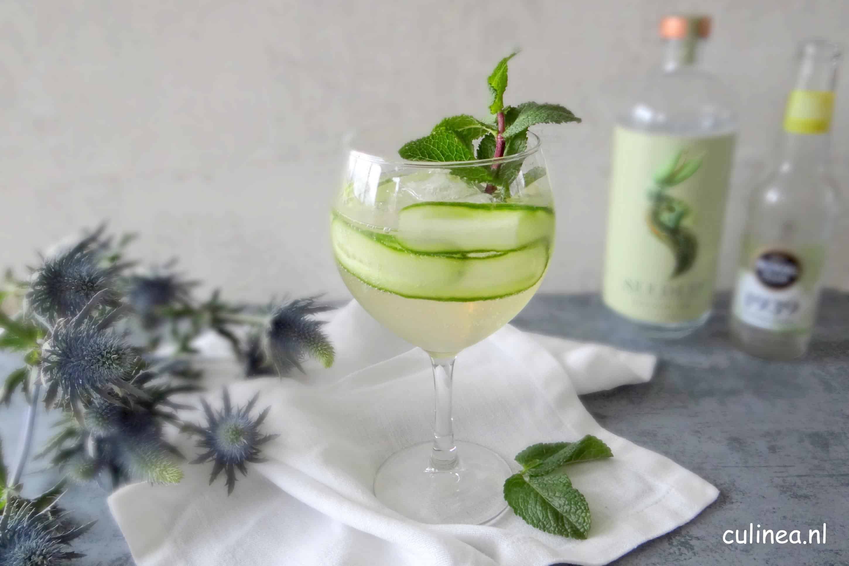 Seedlip mocktail