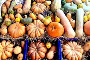 Ben jij ook zo gek op pompoen