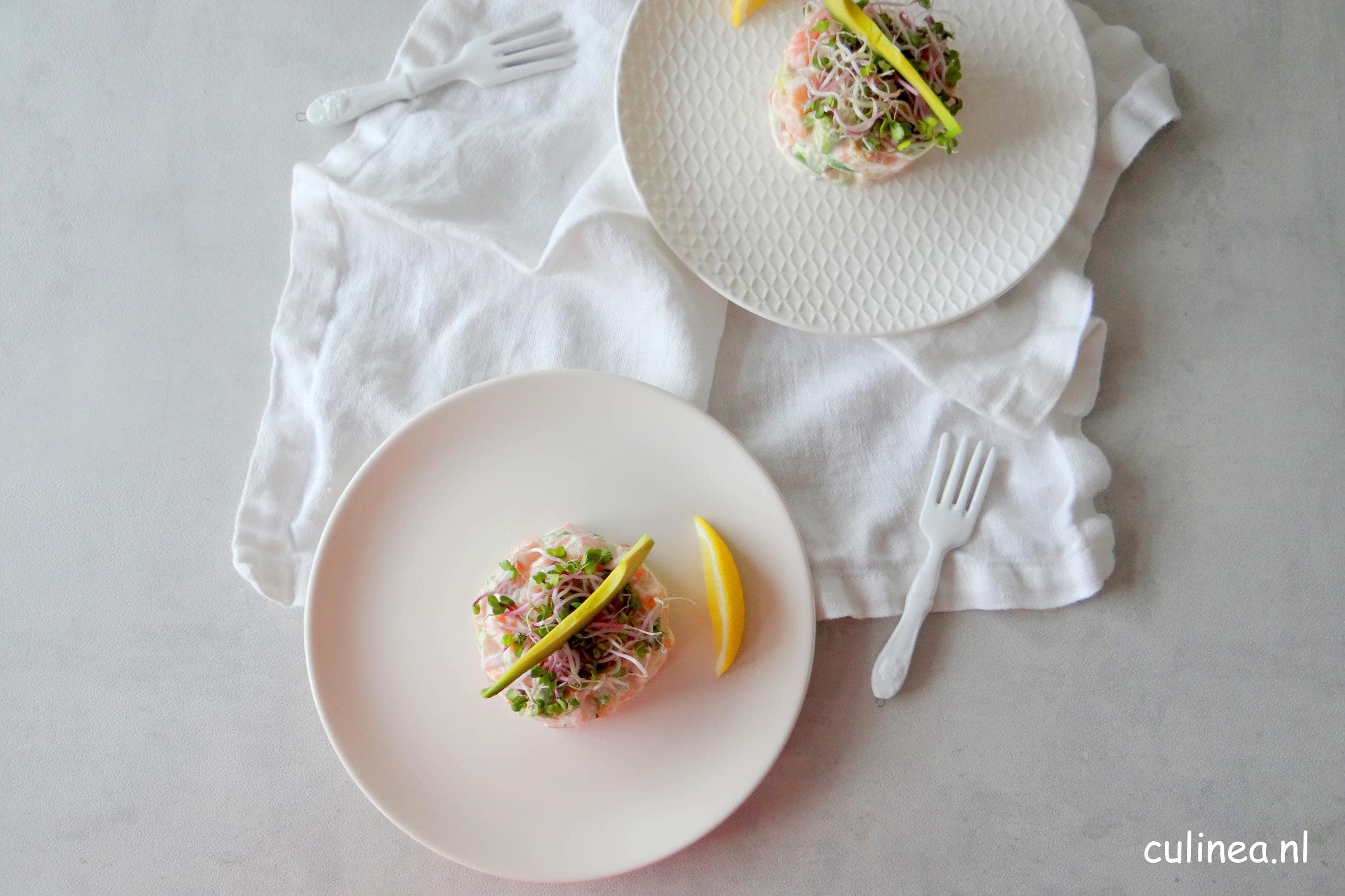 Zalmtartaar met avocado