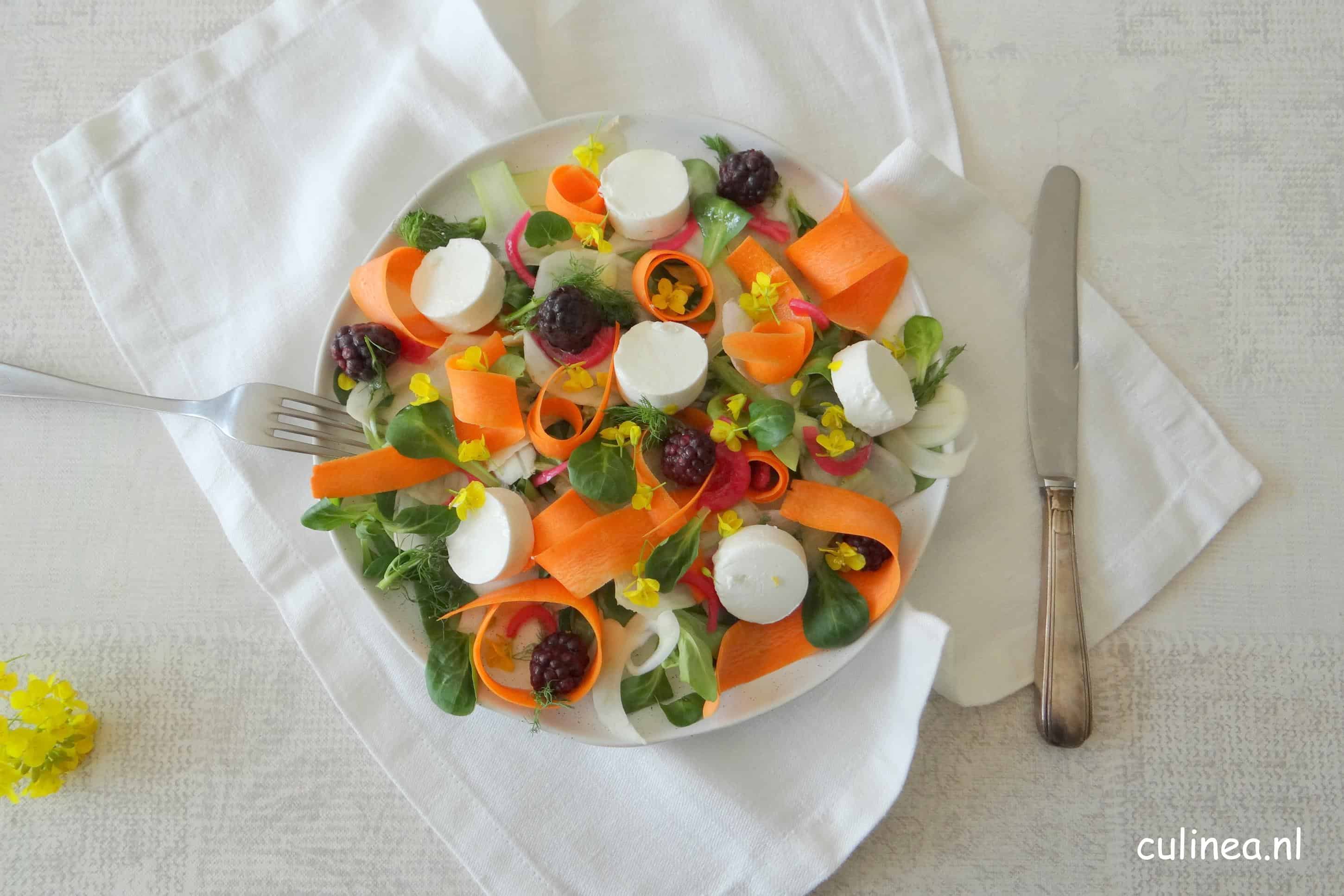 Venkel wortelsalade met geitenkaas