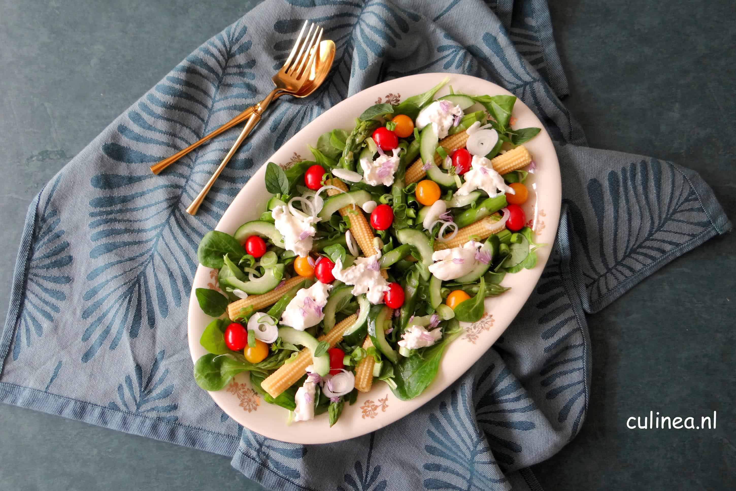 Zomerse salade met burrata