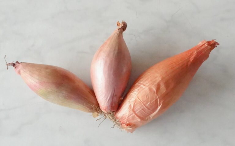 Uien Sorten Welke Uien Zijn Er? Soorten Uien en hun Gebruik | Culinea.nl