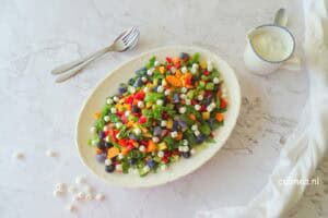 Regenboog salade met geitenkaas