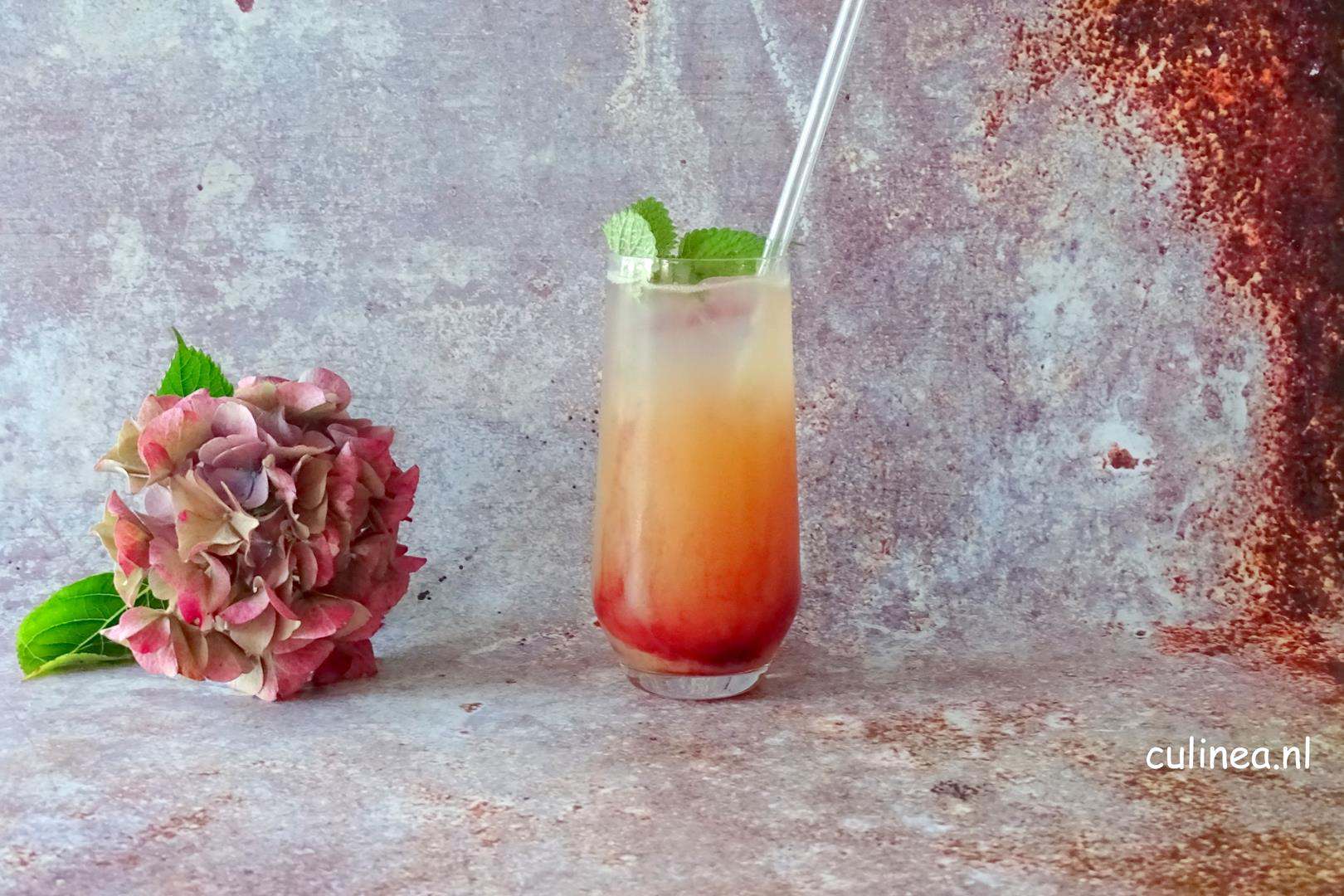 Gin tonic cocktail met ananassap