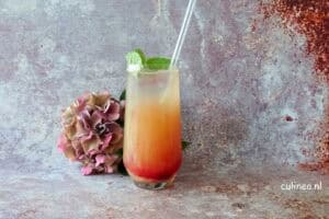 Gin tonic cocktail met ananassap