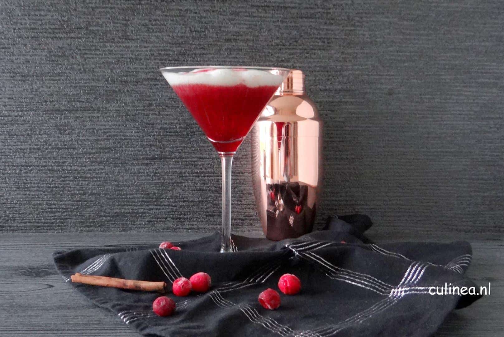 Cranberry Gin Cocktail