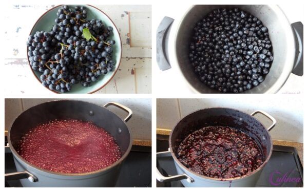 Blauwe Druivensiroop Maken