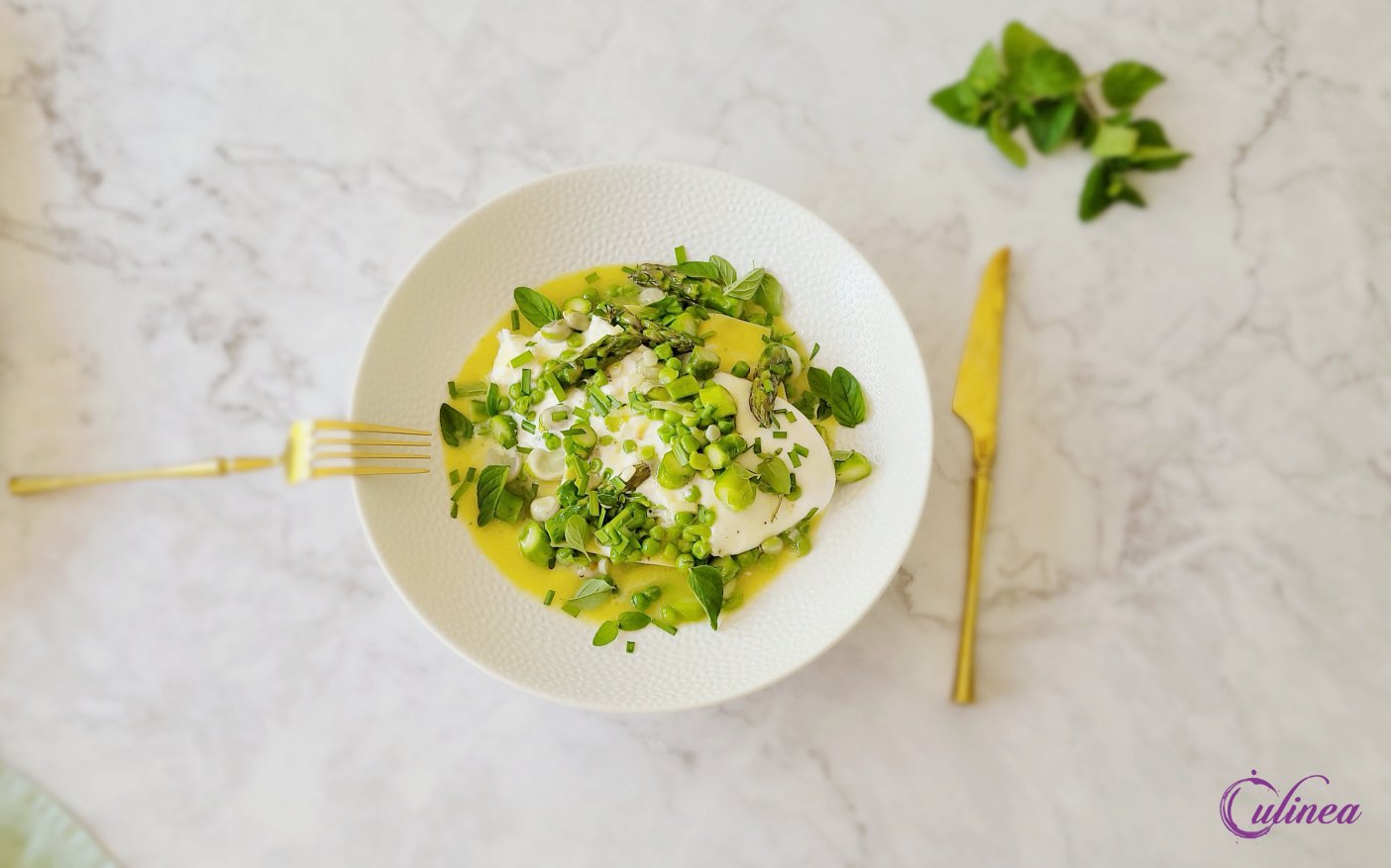 Open Lasagne Met Asperges En Burrata Culinea Nl