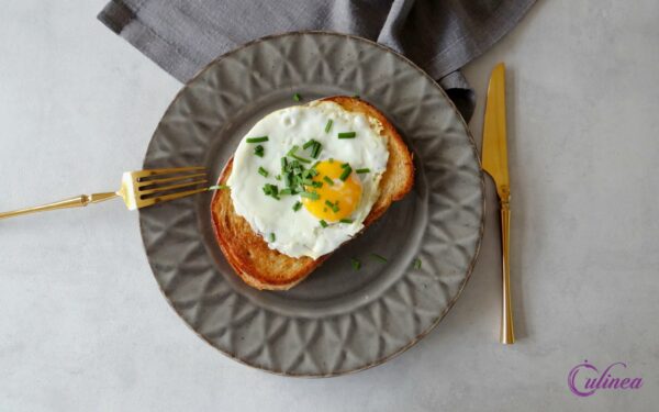 Heel veel lekkere tosti recepten