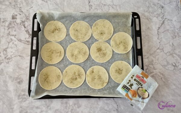 Gyoza crackers