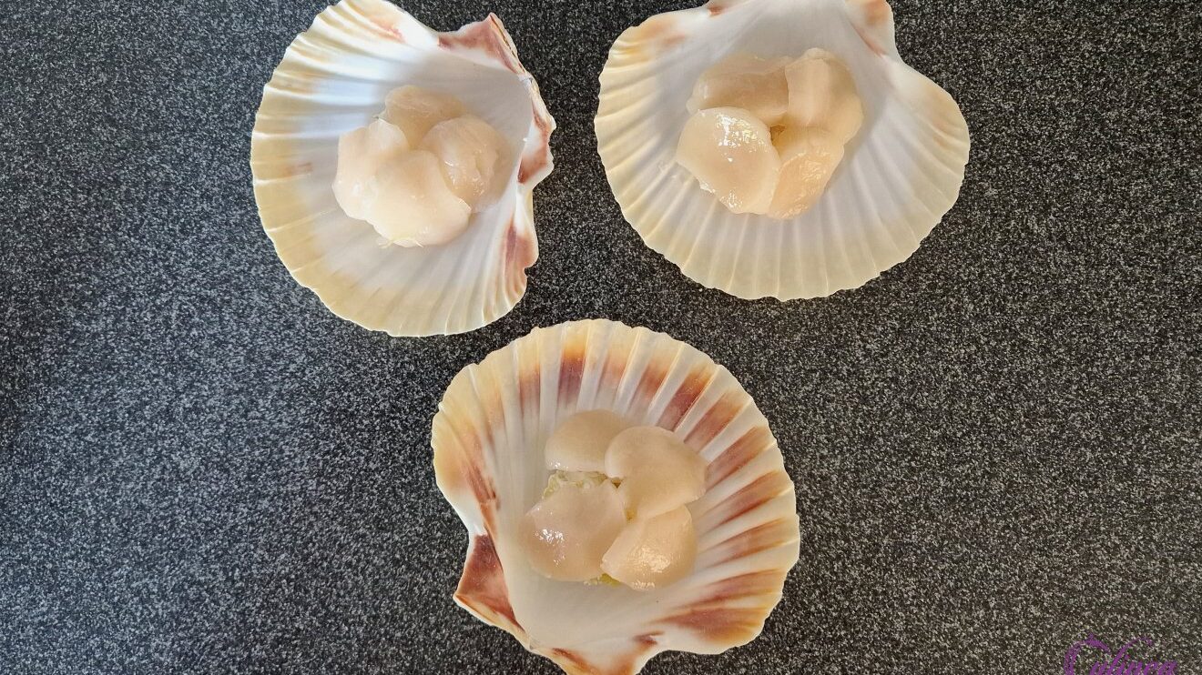 Coquilles met gebrande lardo