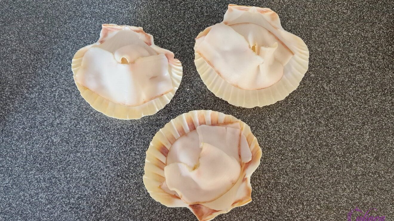 Coquilles met gebrande lardo