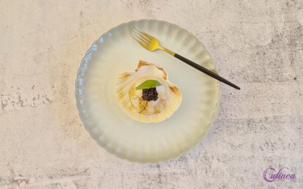 Coquilles met gebrande lardo