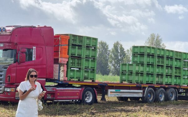 Italiaanse Tomaten in Blik en Tipo 00 Meel