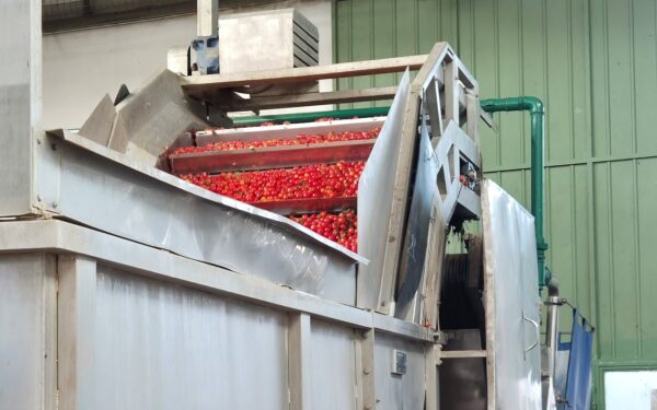 Italiaanse Tomaten in Blik en Tipo 00 Meel