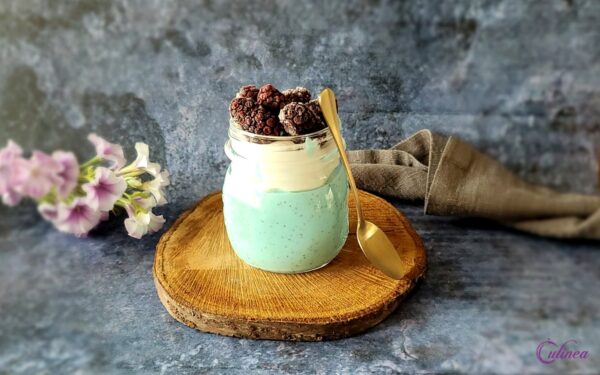 Mijn lekkerste Chiapudding recepten