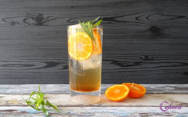 Gin Tonic Cocktails Maken