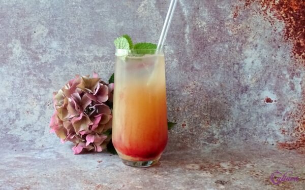 Gin Tonic Cocktails Maken