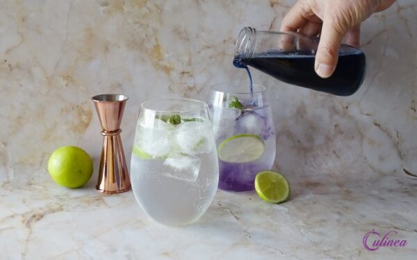 Gin Tonic Cocktails Maken