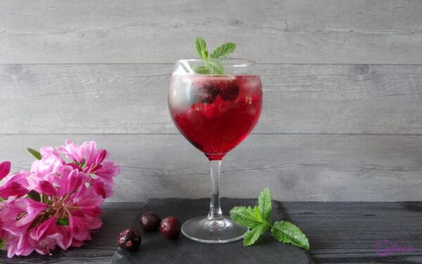 Gin Cocktail Verzameling
