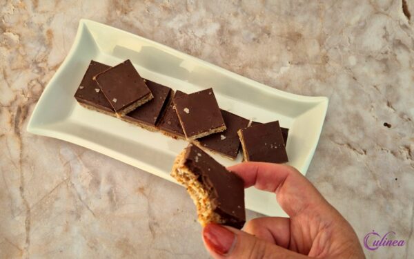 Kokos Dadelrepen met Chocolade